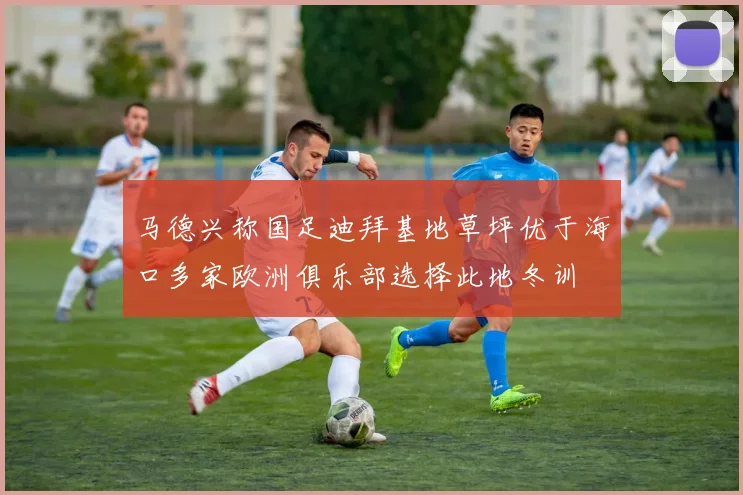 马德兴称国足迪拜基地草坪优于海口多家欧洲俱乐部选择此地冬训